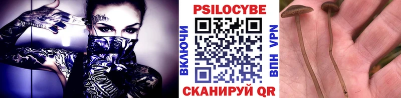 Галлюциногенные грибы мицелий Пущино