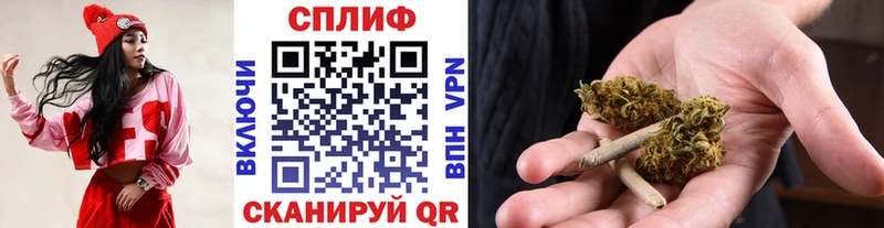 Бошки марихуана гибрид  Пущино 